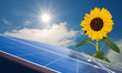 Solar Sonnenblume 2