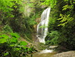 Großer Wasserfall im Wald