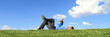 businessman with tablet on grass, panorama