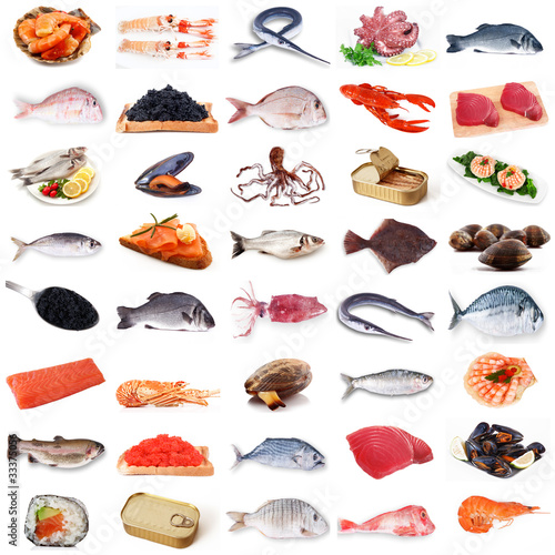 Photo: pesce collage pesce collage