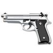 Gun
