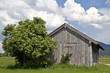 Heuhütte mit Holunder