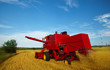 Combine working on a wheat field