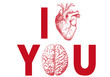 Vektor: I heart you, with realistic heart and brain, vector I heart you, with realistic heart and brain, vector