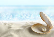 Shell with a pearl Shell with a pearl