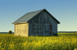 Finnish country barn