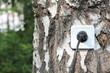 Foto: Ecological concept, symbolizing renewable energy, bio energy Ecological concept, symbolizing renewable energy, bio energy