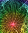 abstract multicolored flower