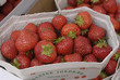 DENMARK_DANISH STRAWBERRIES DENMARK_DANISH STRAWBERRIES