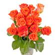 bouquet of beautiful fresh red roses bouquet of beautiful fresh red roses
