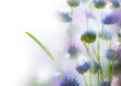 Abstract Flowers Border Design