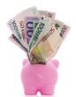 Overstuffed Piggy Bank Isolated + Clipping Path