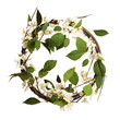 leaves wreath isolated