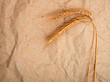 Wheat ears