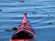 Wilderness journey in a kayak