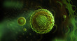 hepatitis virus