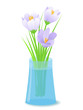 flowers in vase