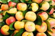 Photo: Nectarines Nectarines