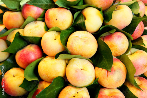 Photo: Nectarines Nectarines