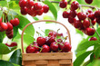 Fresh red cherries Fresh red cherries