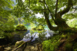 spring in mountain spring in mountain