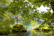 green reflection