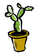 Cactus vector illustration