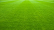 soccer field soccer field