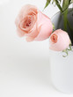 ����: Rosas 03 � Mercedes Fittipaldi #33411227