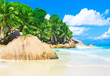Palms Shore Landscape