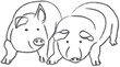 Glückliche Schweine