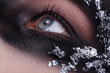 Photo: Beauty Bandit mit Maske blickt hoch, quer close up Beauty Bandit mit Maske blickt hoch, quer close up