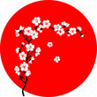 Vector: Blooming cherry tree Sakura in Japan style Blooming cherry tree Sakura in Japan style