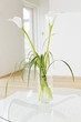 ����: Lily of the Nile � Stocksnapper #33417252