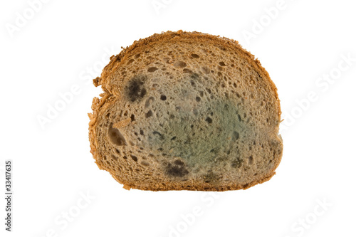 Photo: slice of moldy bread slice of moldy bread