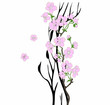Vector: A branch of blooming cherry tree A branch of blooming cherry tree