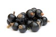 Baies de cassis