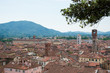 Overlooking Lucca