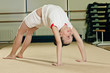 exercise bridge
