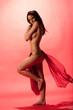 Harem girl