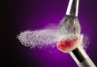 Brushes and makeup powder