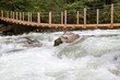 Holzbrücke über einen Wildbach im Gebirge