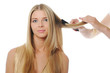 Stylist updo young blonde woman Stylist updo young blonde woman