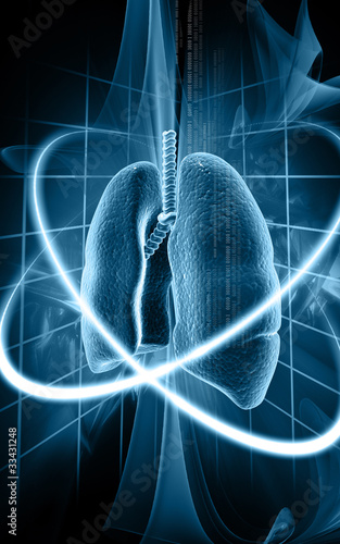 Illustration: Human lungs Human lungs