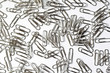 Metal paper clips on white background