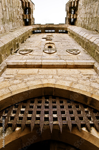 Photo: castle door castle door