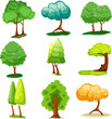 Set of  tree