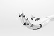 Robotic hand isolated