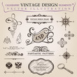 Calligraphic elements vintage decor. Vector frame ornament