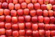 Background of red apples